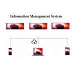 19.5 Inch Stretched Bar Monitor